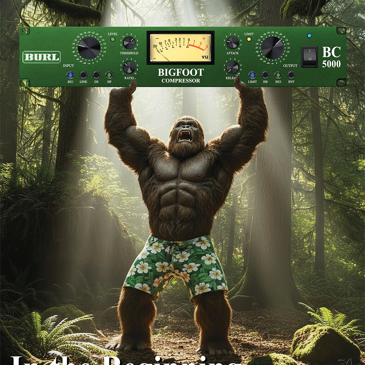 BC5000-BIGFOOT-1 BURL Audio BC5000 BIGFOOT Optical Compressor with Limiter