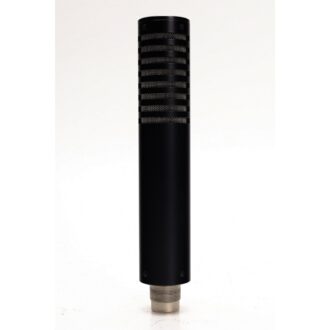 Royer R101 Ribbon Mic (Used) #1